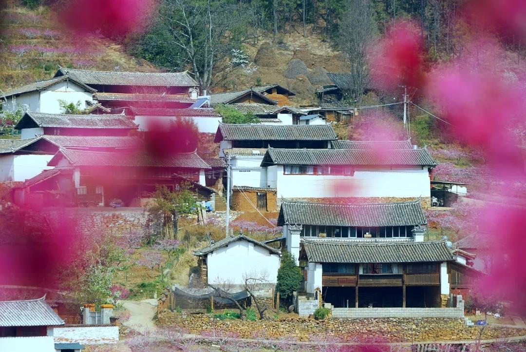 “郭靖”、“黃蓉”喊你來“桃花島”過日子……