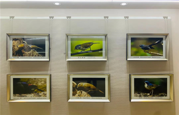 多維度展示滇西北生物多樣性！麗江這個中心值得一去