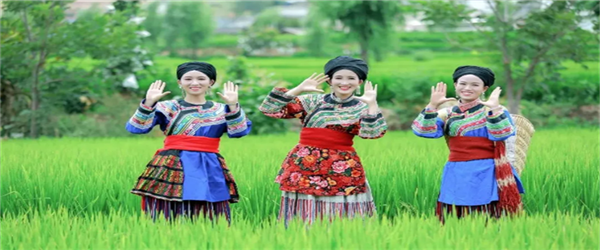 相約水鄉，邂逅激情！華坪縣新莊鄉首屆鄉村旅游節即將開幕