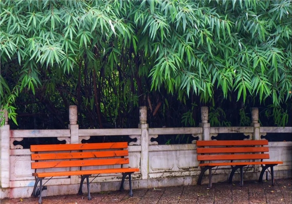 煙雨繚繞，黑龍潭與詩平分秋色