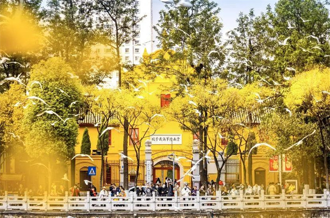 麗江旅游攻略：來云南邂逅不一樣的冬天，體驗麗江非遺文化